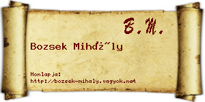 Bozsek Mihály névjegykártya